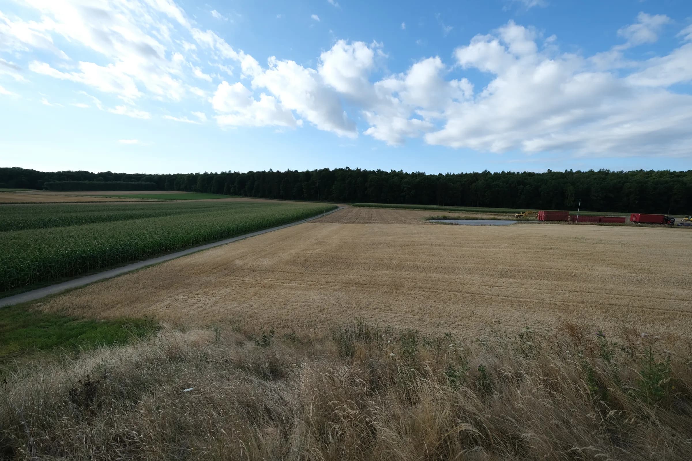 5.000 qm Grundstück zum Kauf! in Nordheim